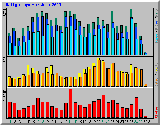 Daily usage for June 2025