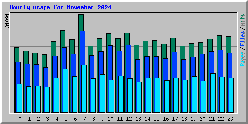 Hourly usage for November 2024