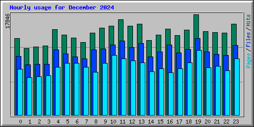 Hourly usage for December 2024