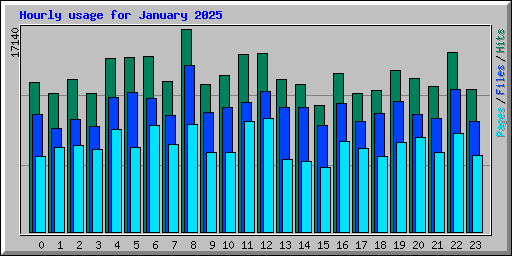 Hourly usage for January 2025