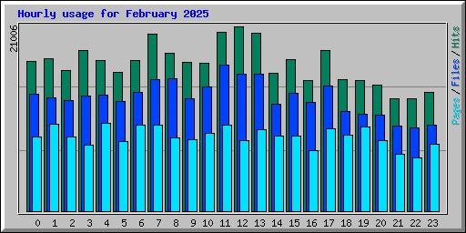 Hourly usage for February 2025