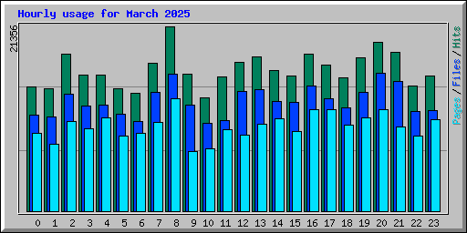Hourly usage for March 2025