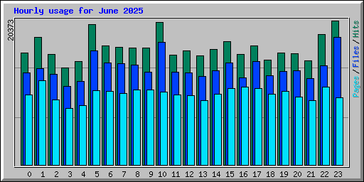 Hourly usage for June 2025