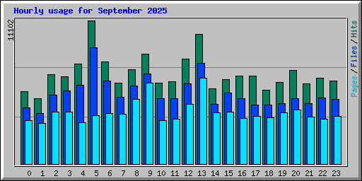 Hourly usage for September 2025