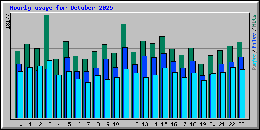 Hourly usage for October 2025