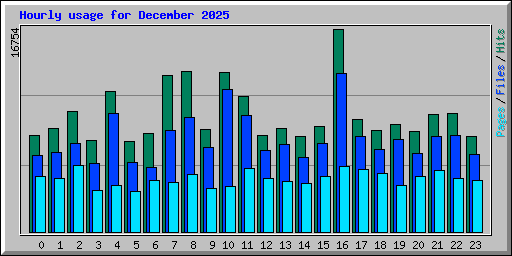 Hourly usage for December 2025