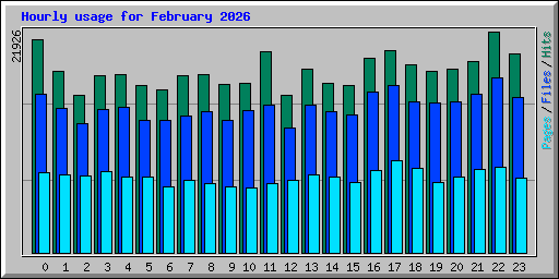 Hourly usage for February 2026