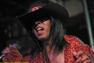 Question Mark and the Mysterians