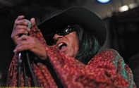 Question Mark and the Mysterians